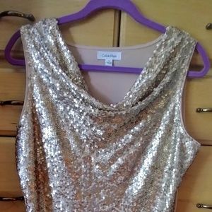 Pale pink sequin top. Sexy. Flettering cut